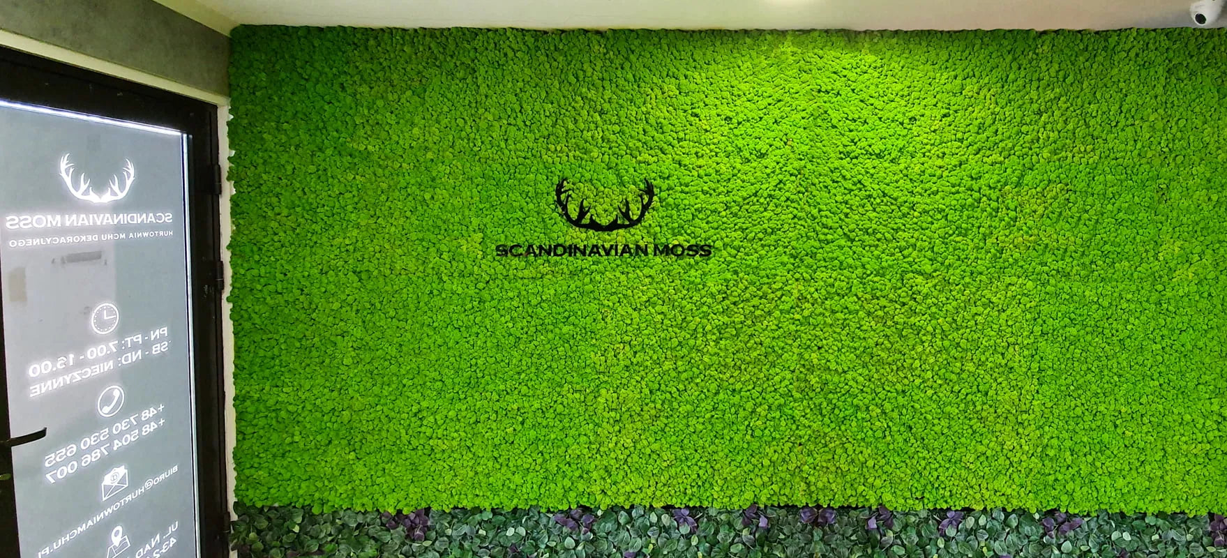 Frameless Reindeer Moss Wall Panels Rectangle accent wall with logo DecorMania UK