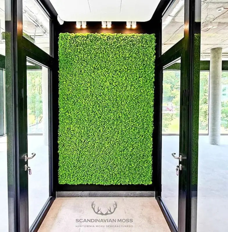 Frameless Reindeer Moss Wall Panels Rectangle hallway decor DecorMania UK