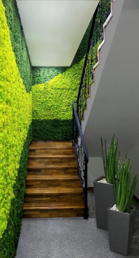 Frameless Reindeer Moss Wall Panels Rectangle staircase wall DecorMania UK