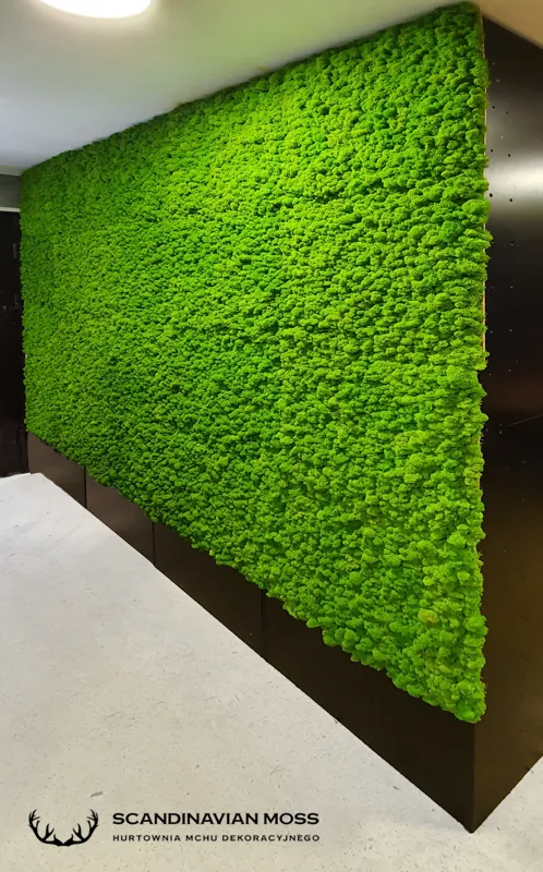 Frameless Reindeer Moss Wall Panels Square accent moss wall DecorMania UK