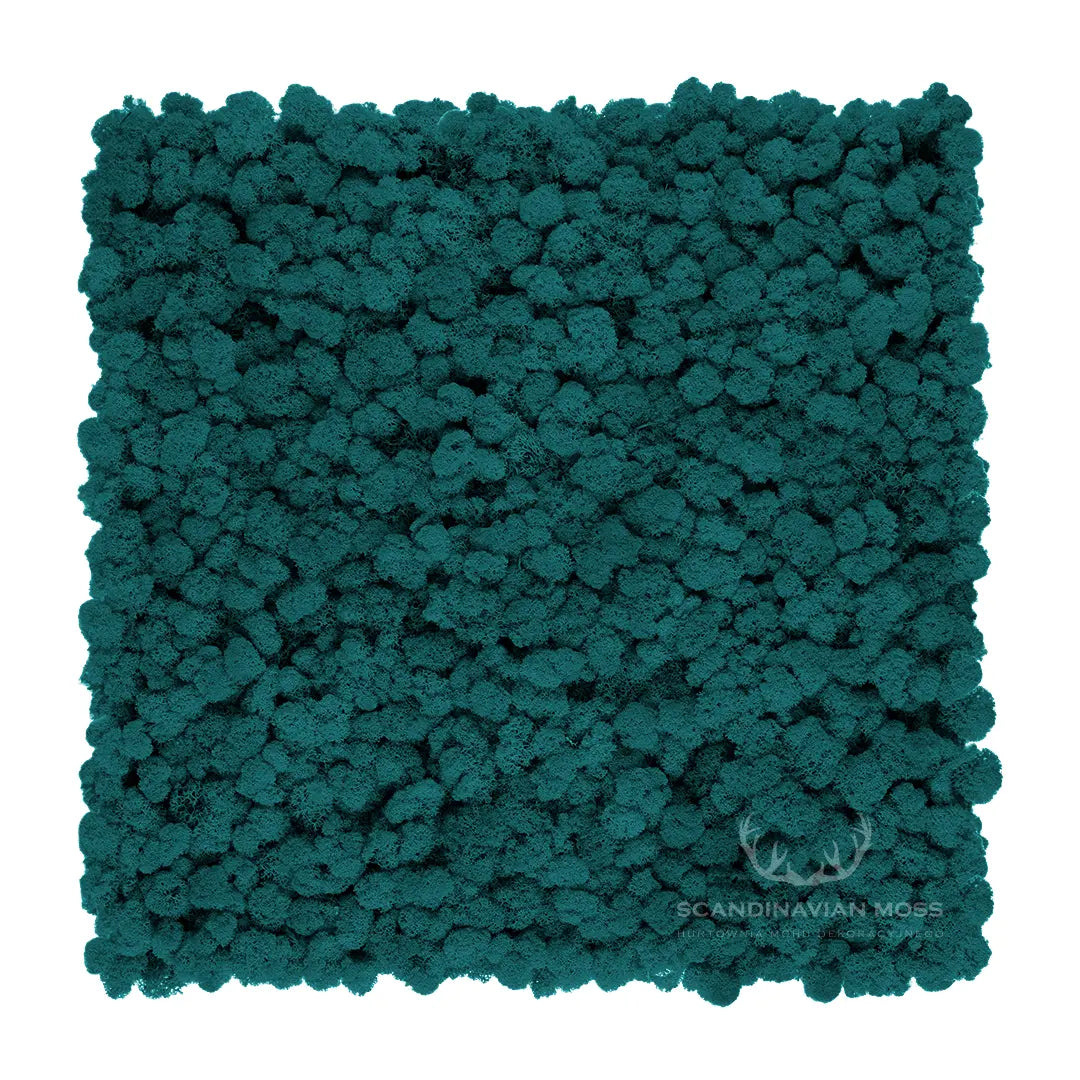 Frameless Reindeer Moss Wall Panels Square aquamarine on white background DecorMania UK