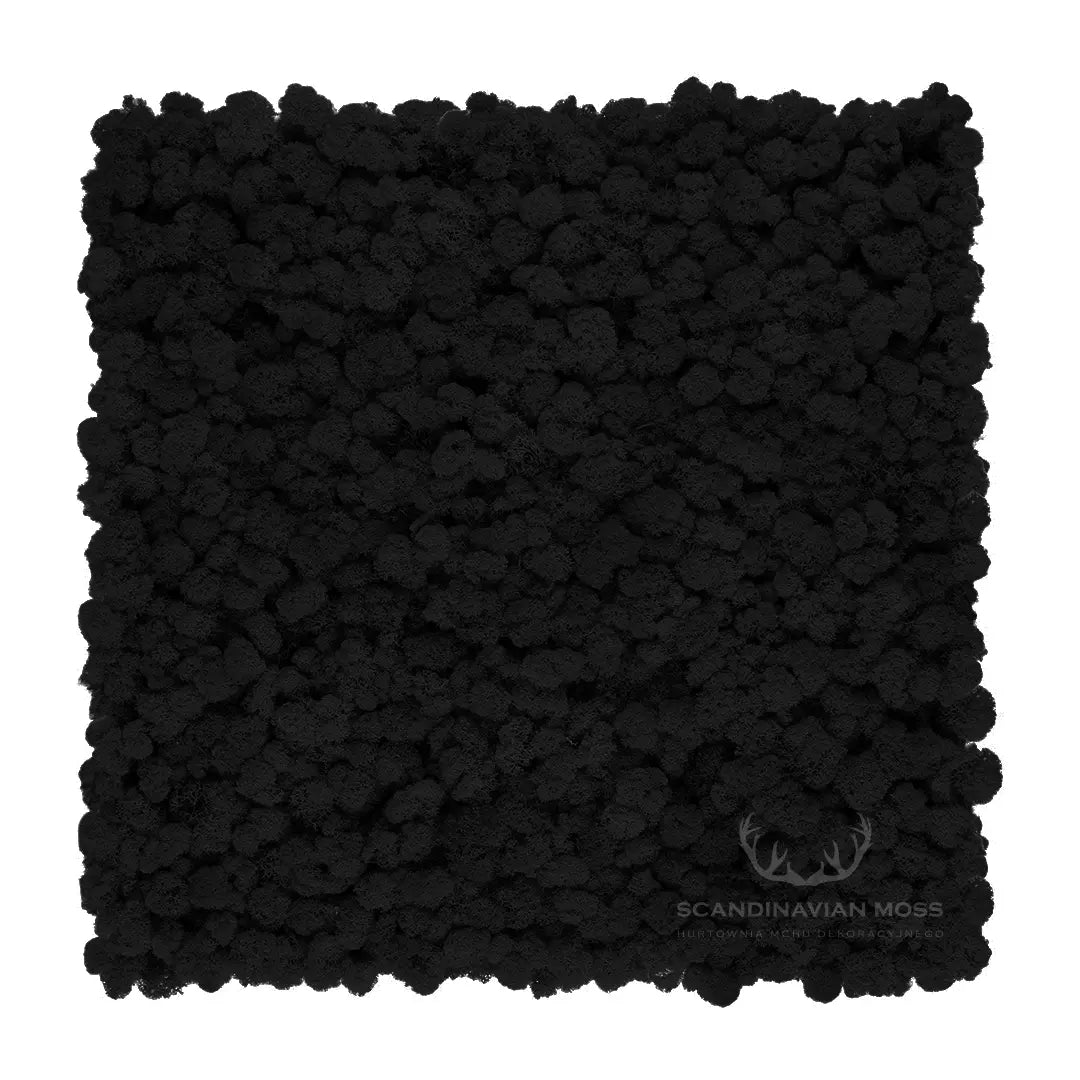 Frameless Reindeer Moss Wall Panels Square black on white background DecorMania UK
