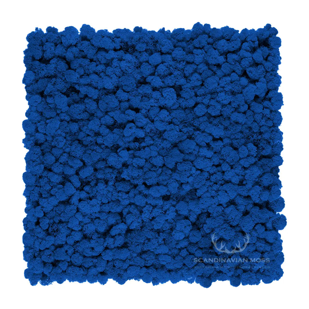 Frameless Reindeer Moss Wall Panels Square blue on white background DecorMania UK