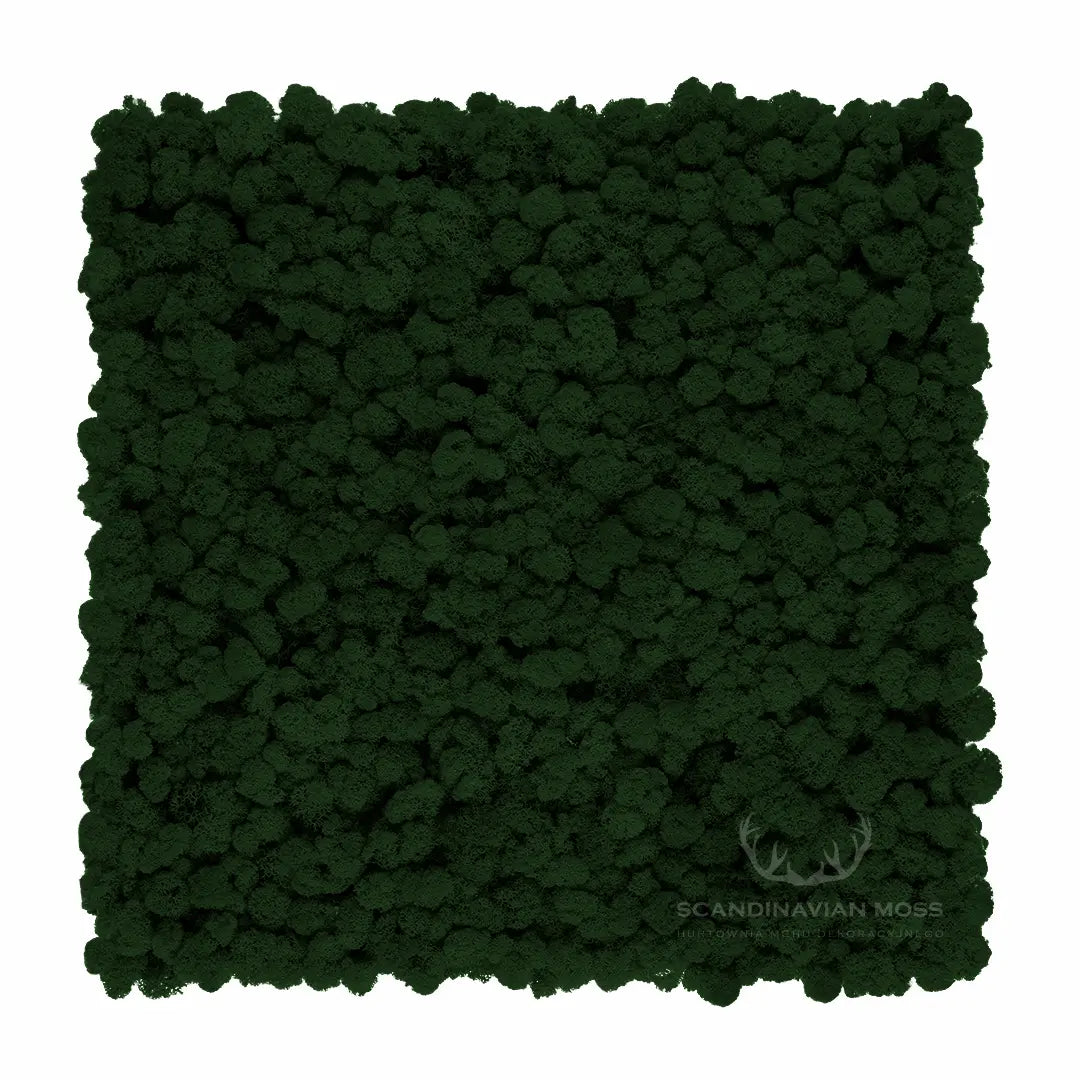 Frameless Reindeer Moss Wall Panels Square dark green on white background DecorMania UK