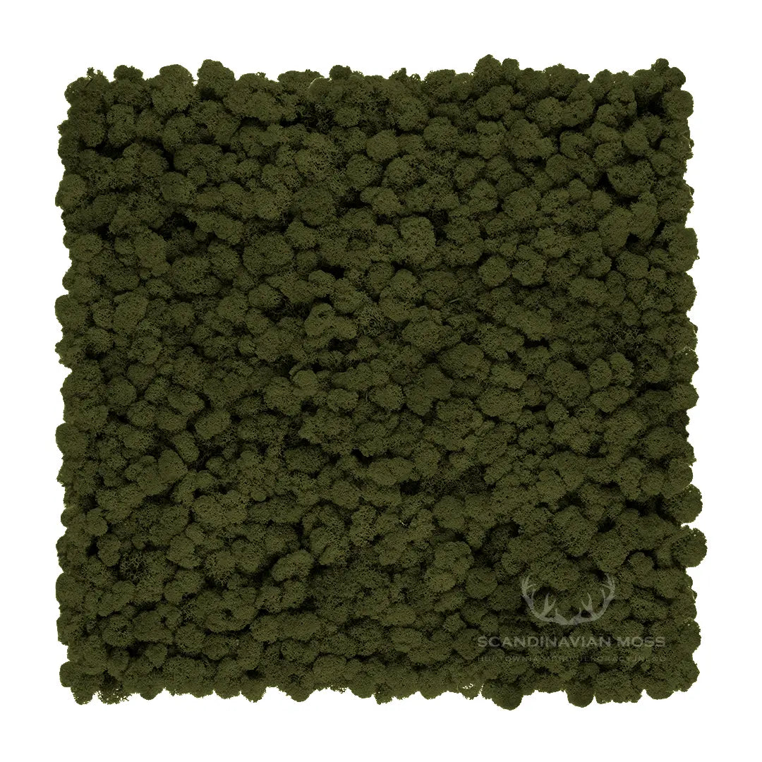 Frameless Reindeer Moss Wall Panels Square khaki on white background DecorMania UK 