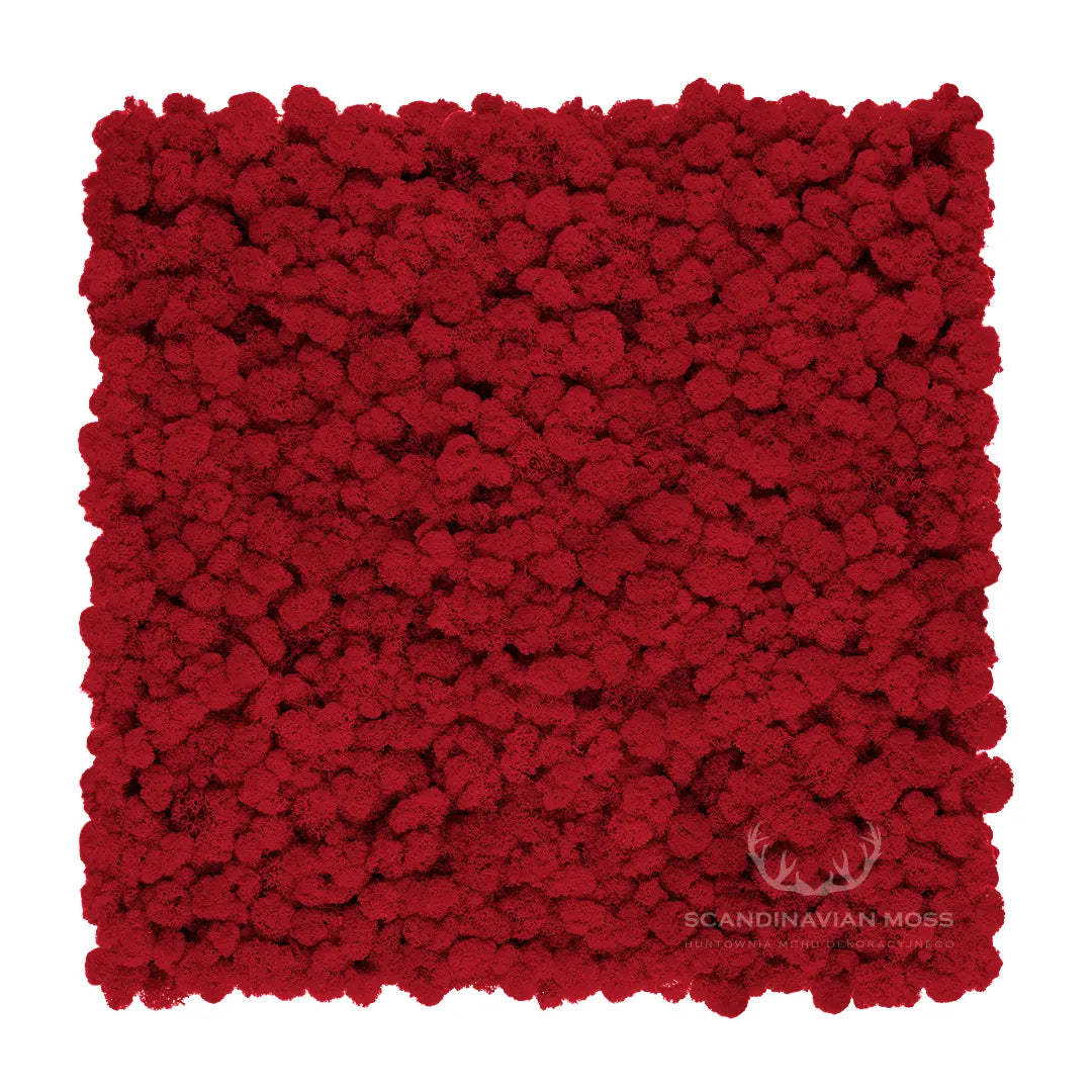 Frameless Reindeer Moss Wall Panels Square red on white colour background DecorMania UK