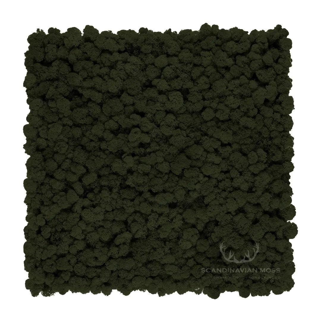 Frameless Reindeer Moss Wall Panels Square olive on white background DecorMania UK