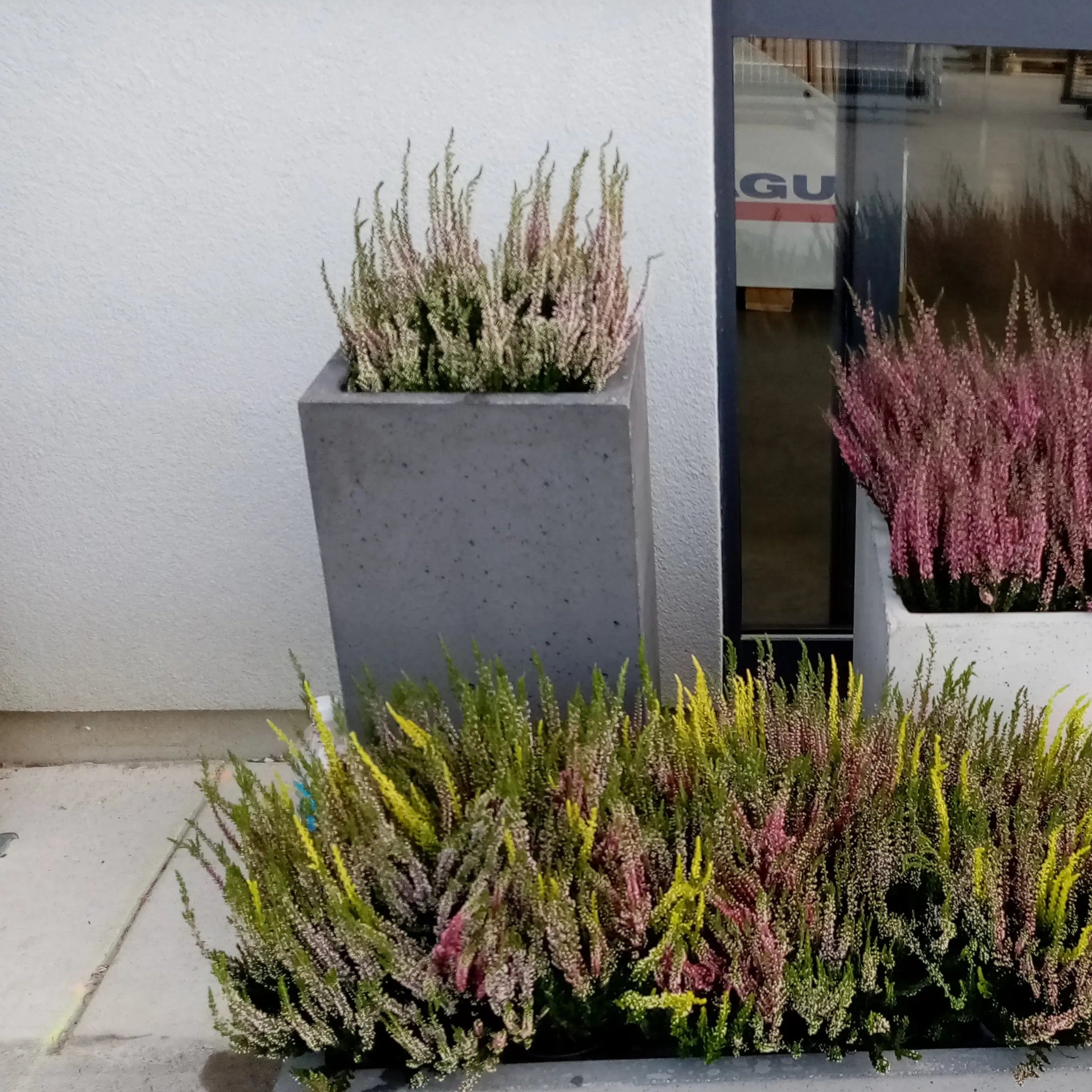 Outdoor Concrete Planters - Rectangle 50x120x50 cm in front of a wall Decormania UK