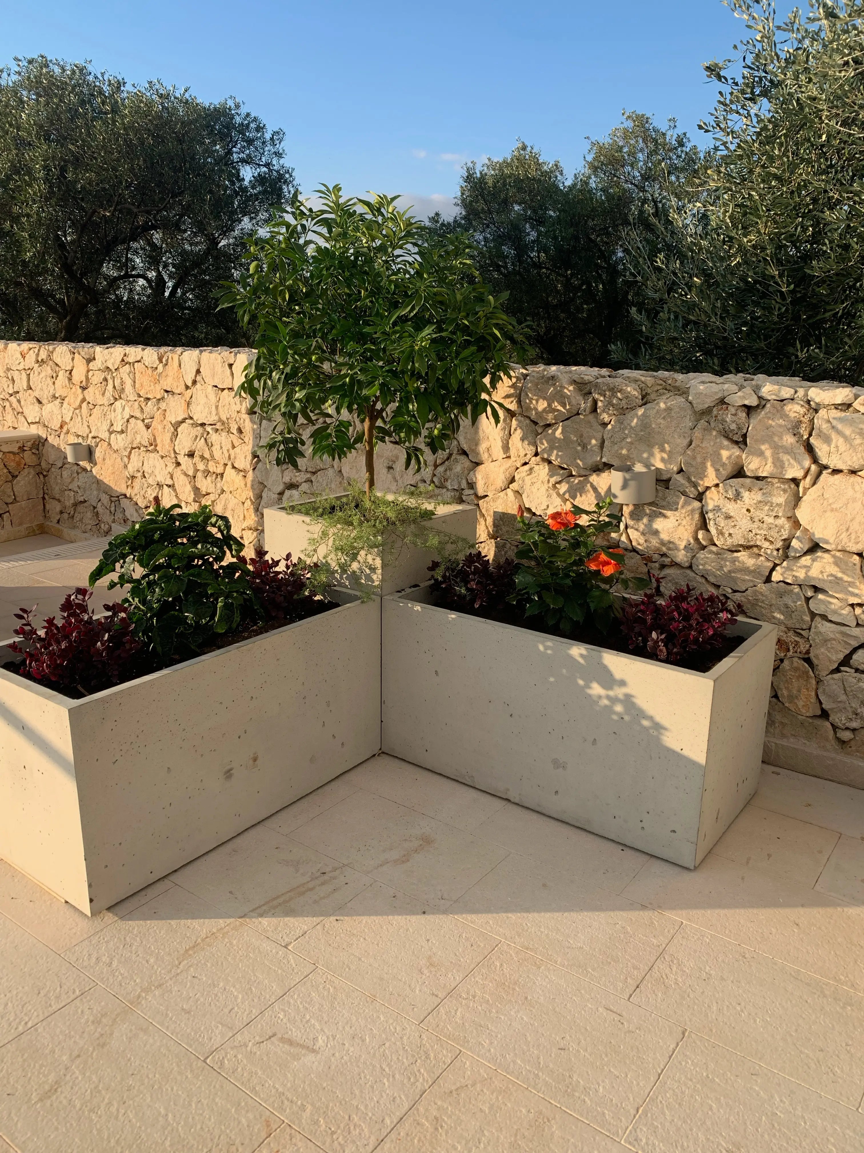 Outdoor Concrete Planters - Rectangle 50x120x50 cm composition in the backyard Decormania UK