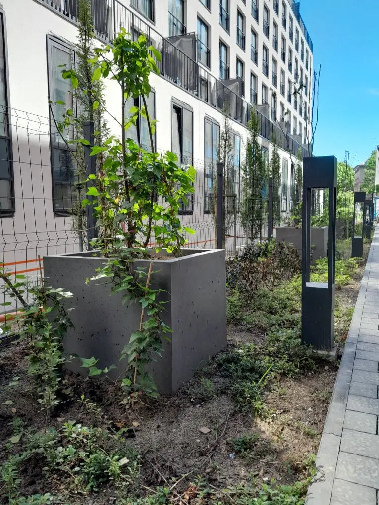 Outdoor Concrete Planters - Rectangle 50x120x50 cm in front of a building Decormania UK