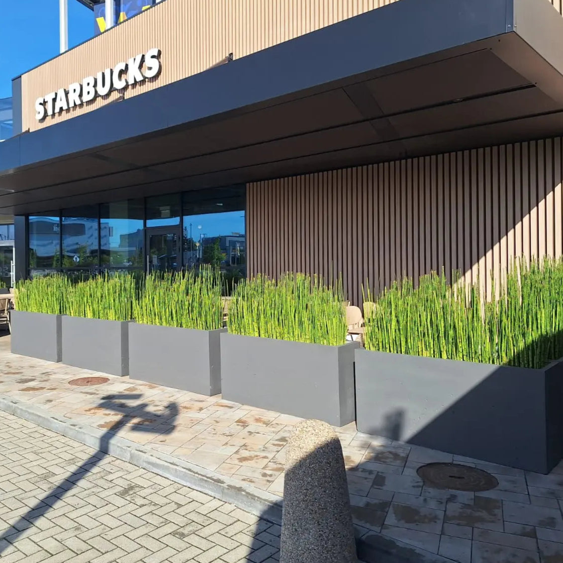 Outdoor Concrete Planters - Rectangle 50x120x50 cm in front of starbucks Decormania UK