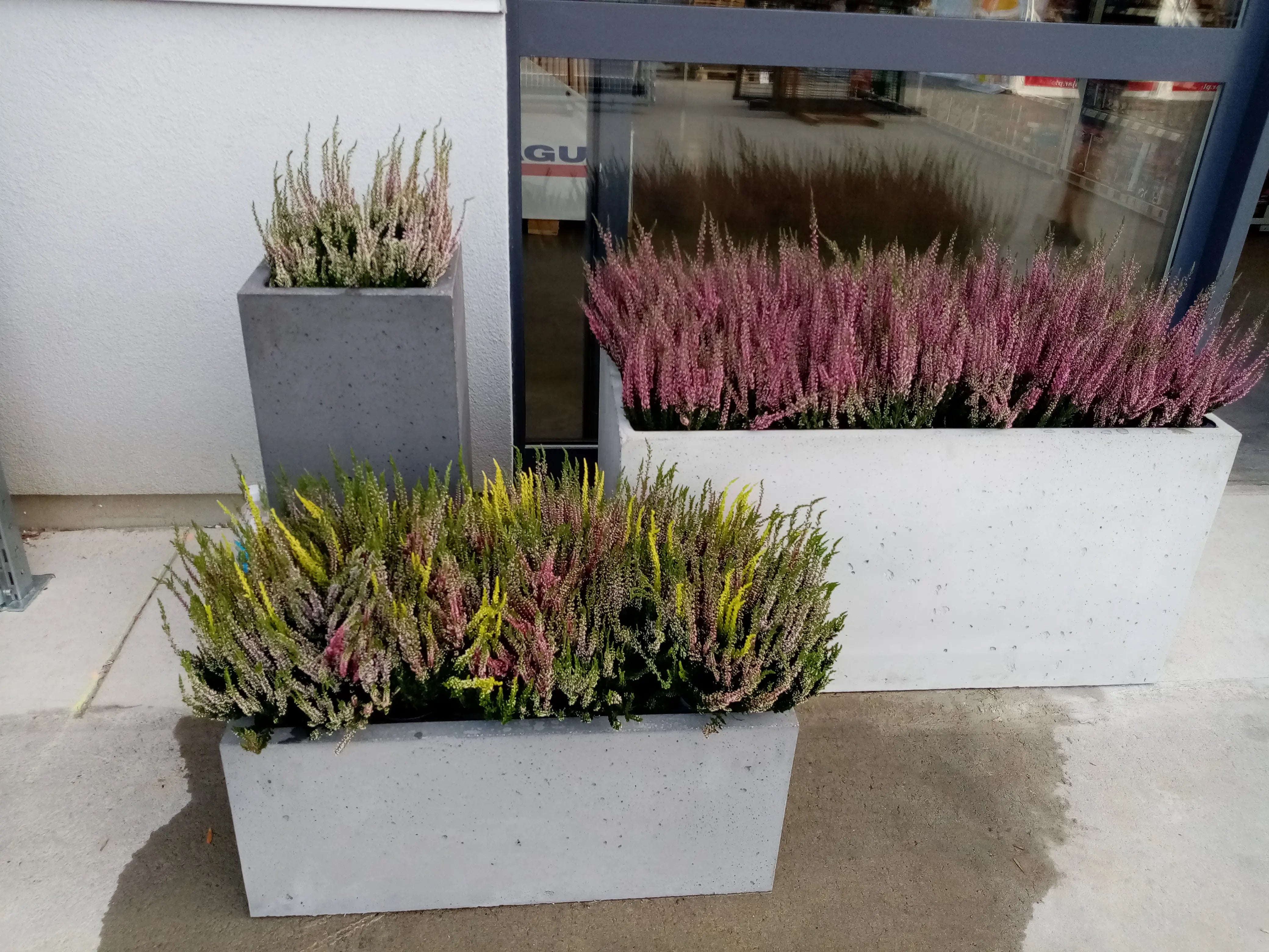 Outdoor Concrete Planters - Rectangle 50x120x50 cm in front of a window Decormania UK