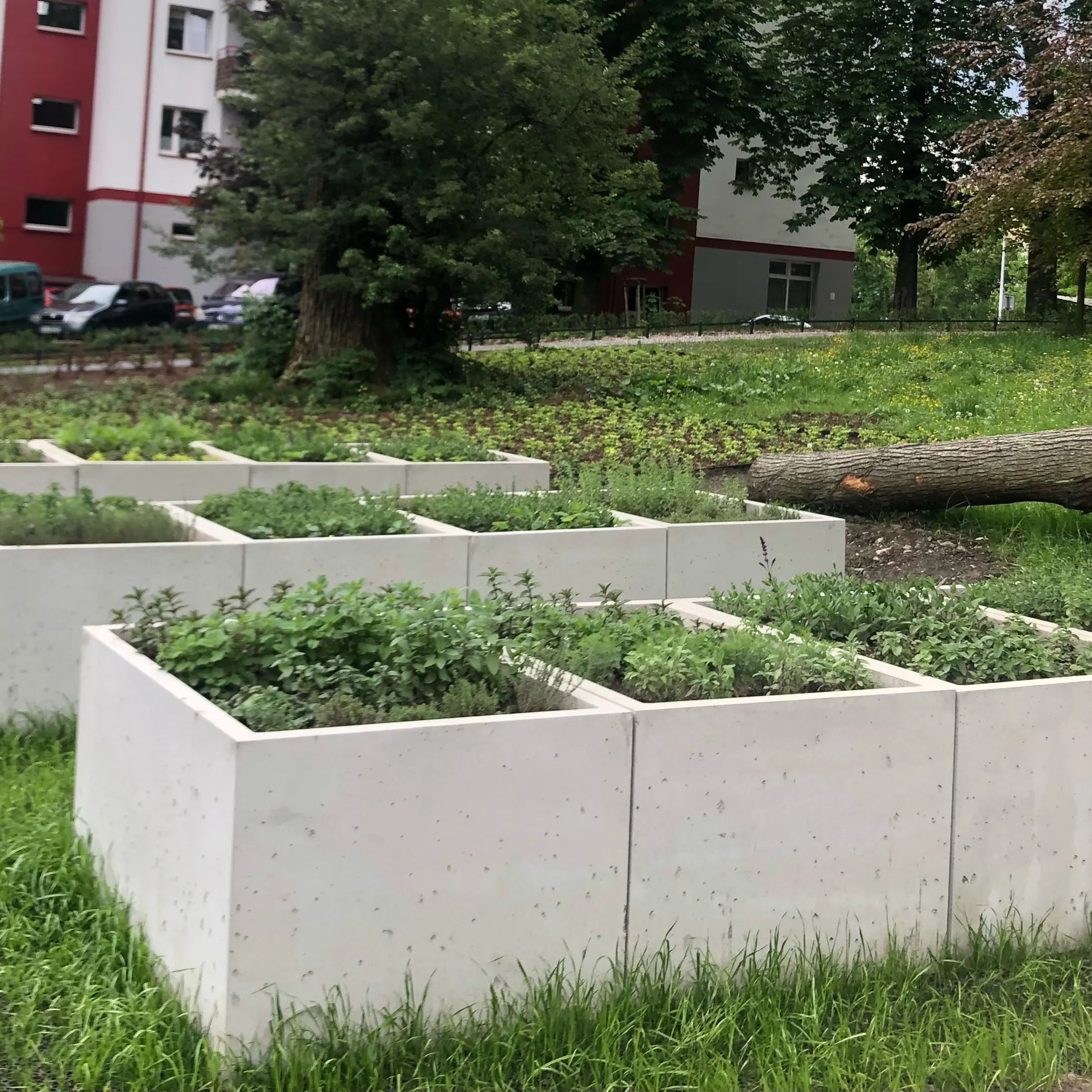 Outdoor Concrete Planters - Rectangle 50x120x50 cm in a park Decormania UK