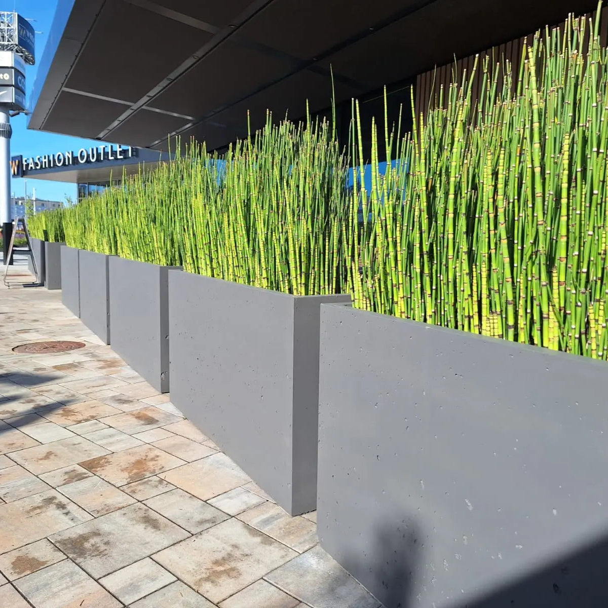 Outdoor Concrete Planters - Rectangle 50x120x50 cm in a commercial space outside Decormania UK