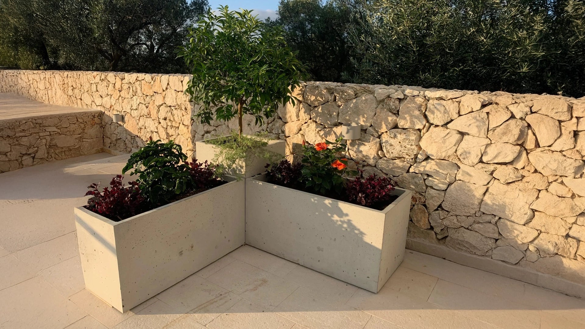 Outdoor Concrete Planters after effect