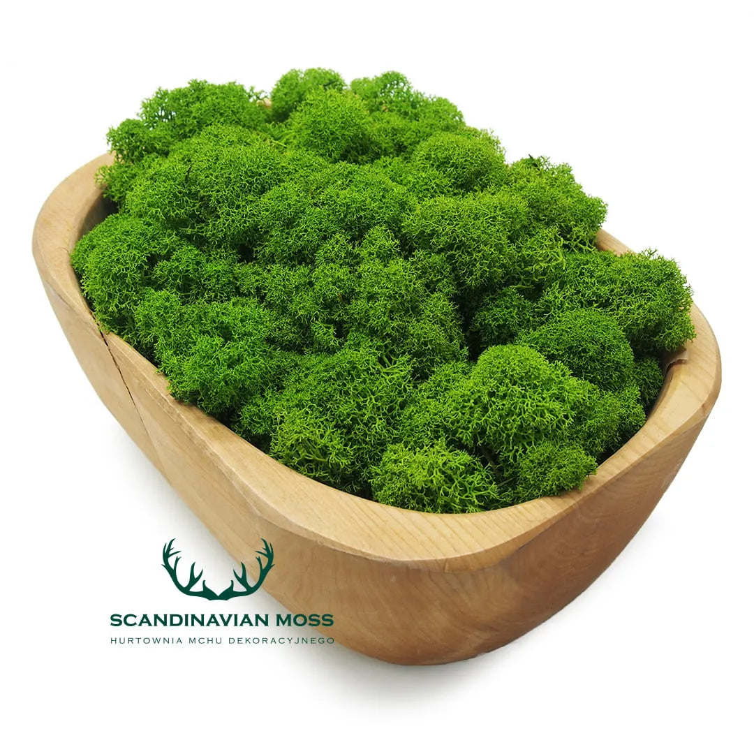Reindeer Preserved Moss Wall Decor 4 kg in wooden bowl display on white background DecorMania UK