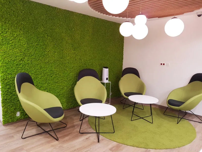 Reindeer Preserved Moss Wall Decor 4 kg in sitting room area DecorMania UK