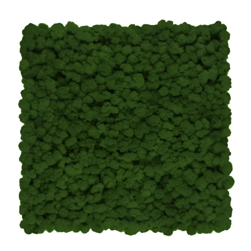 Reindeer Preserved Moss Wall Decor 4 kg DecorMania UK dark green