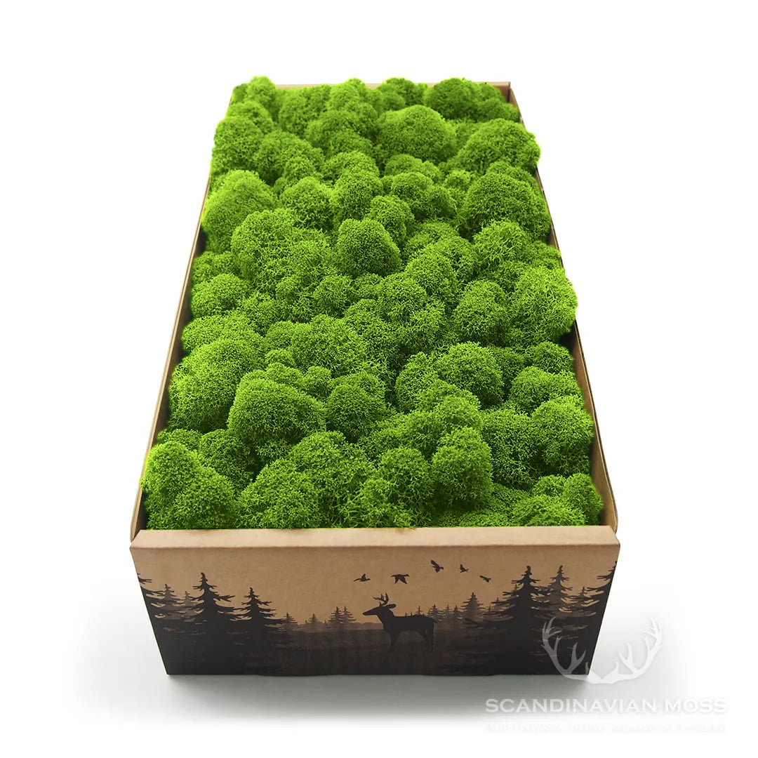 Reindeer Preserved Moss Wall Decor on white background DecorMania uk