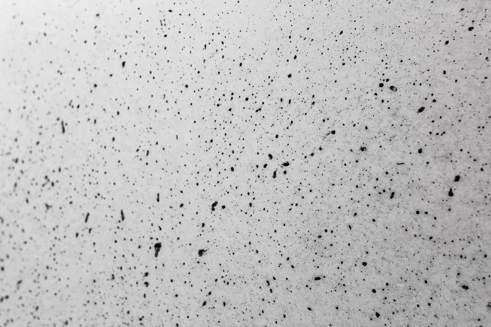 Wallset Concrete wall panels sample box - Close-up view of concrete texture | DecorMania UK