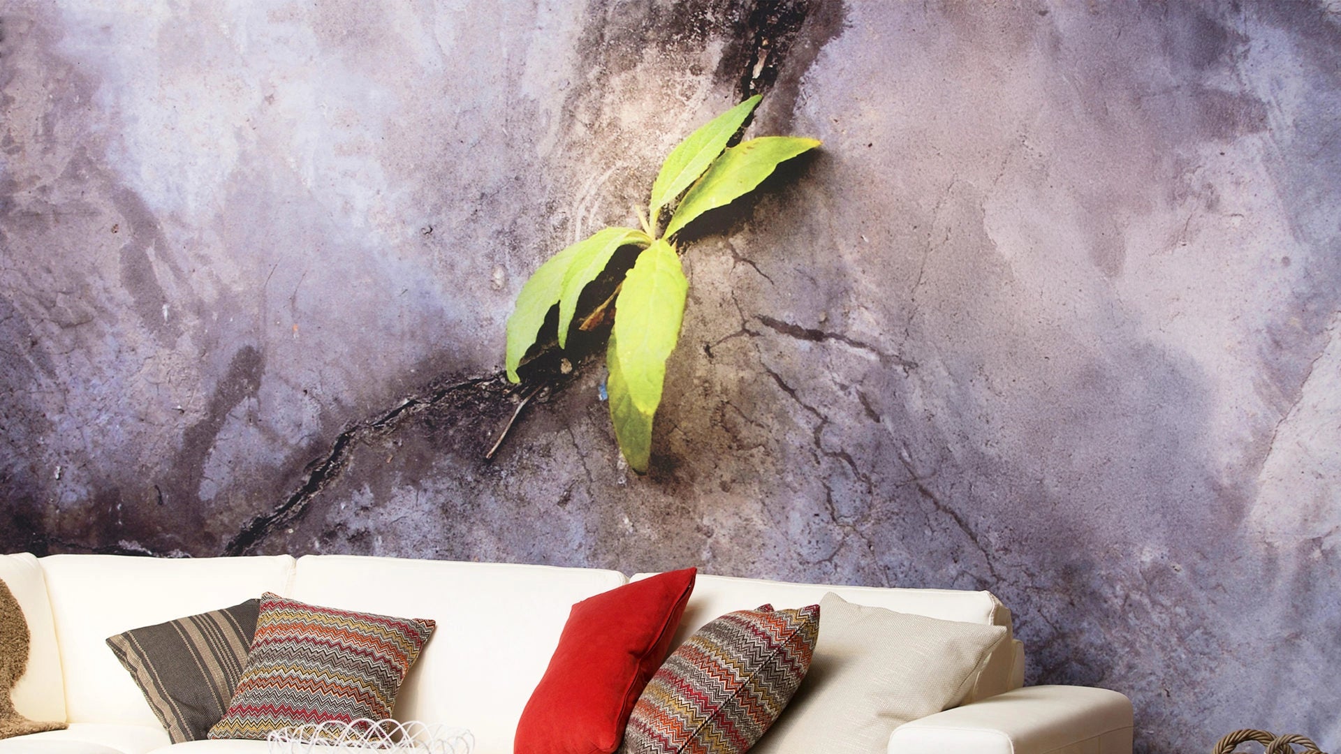 Frameless Moss Wall Panels Decormania Effect before mounting the panel on grey wallpaper