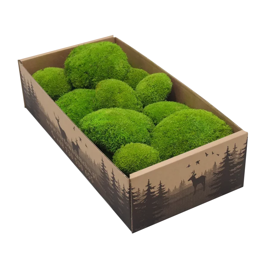 Pillow Preserved Moss Wall Decor - 200 g