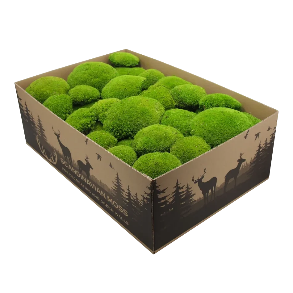 Pillow Preserved Moss Wall Decor - 1 kg
