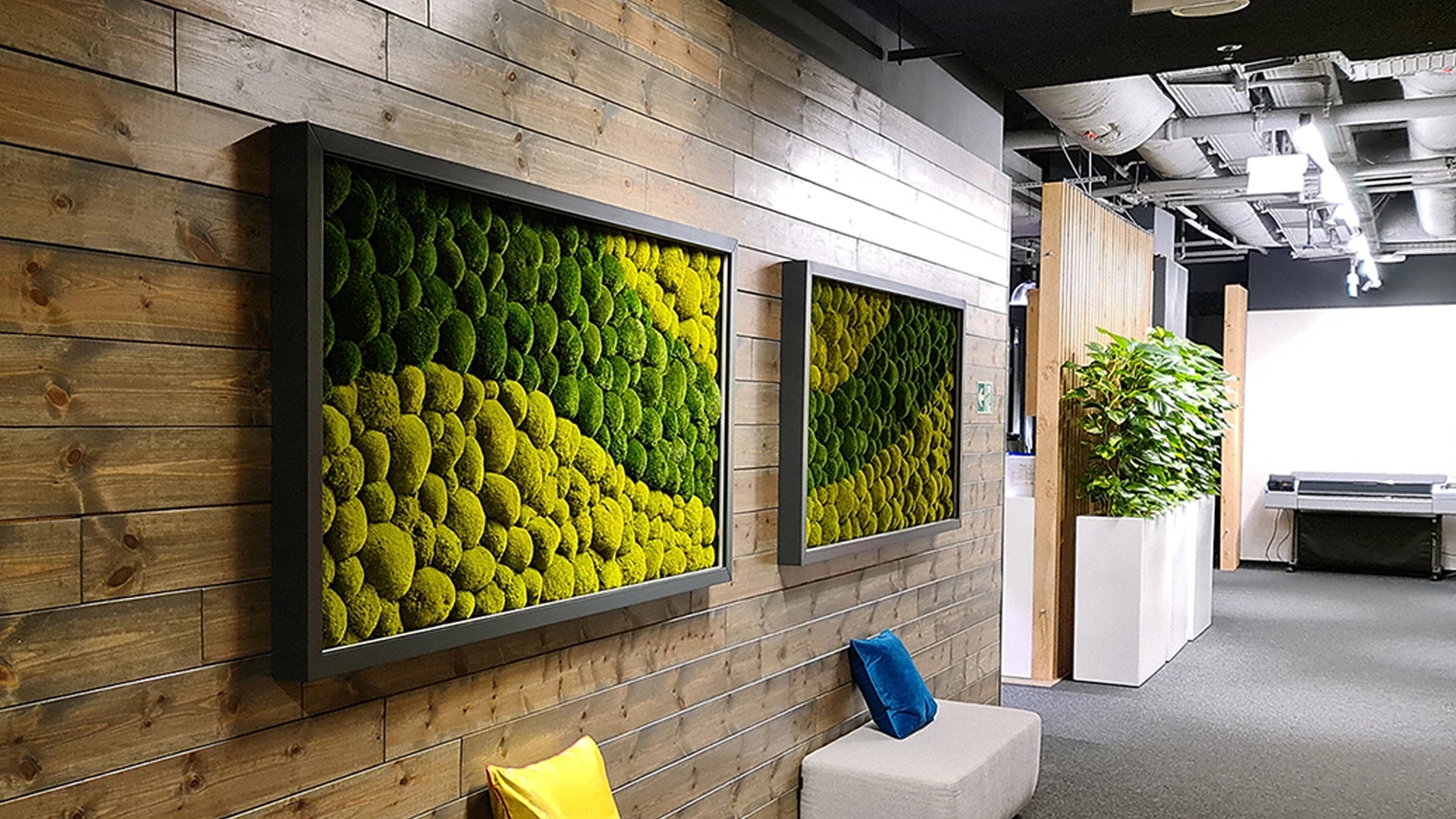 preserved loose moss decor on wooden wall decormania after picture