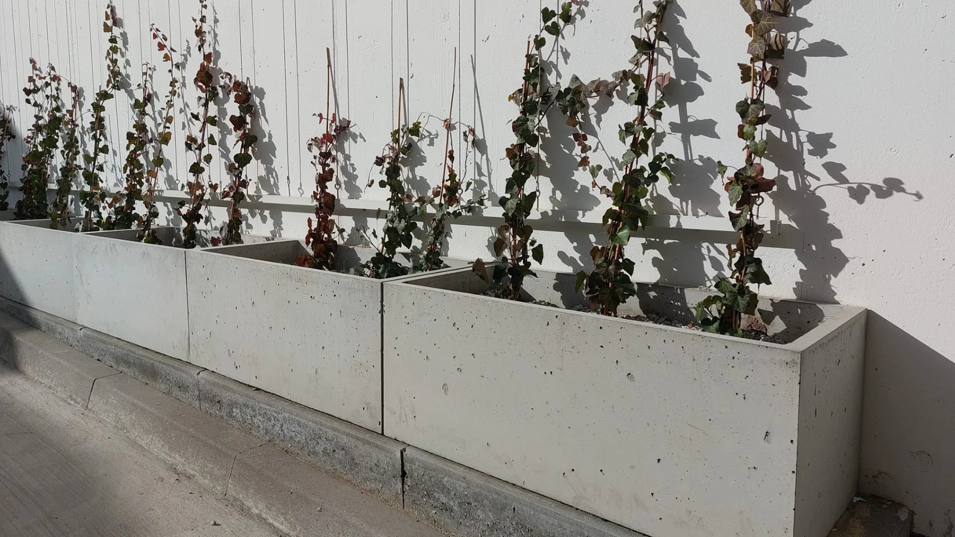 Outdoor Concrete Planters in front of a wall outside Decormania UK