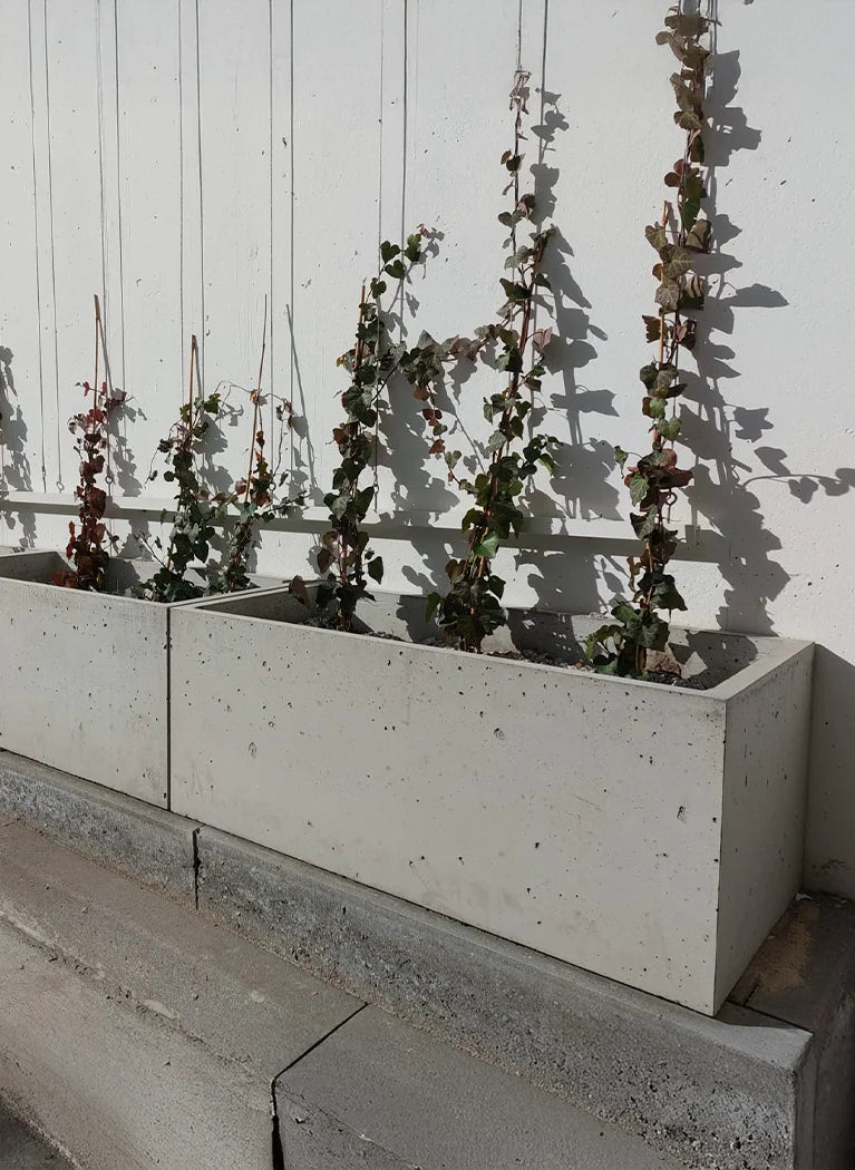 Outdoor Concrete Planters in front of a wall outside Decormania UK