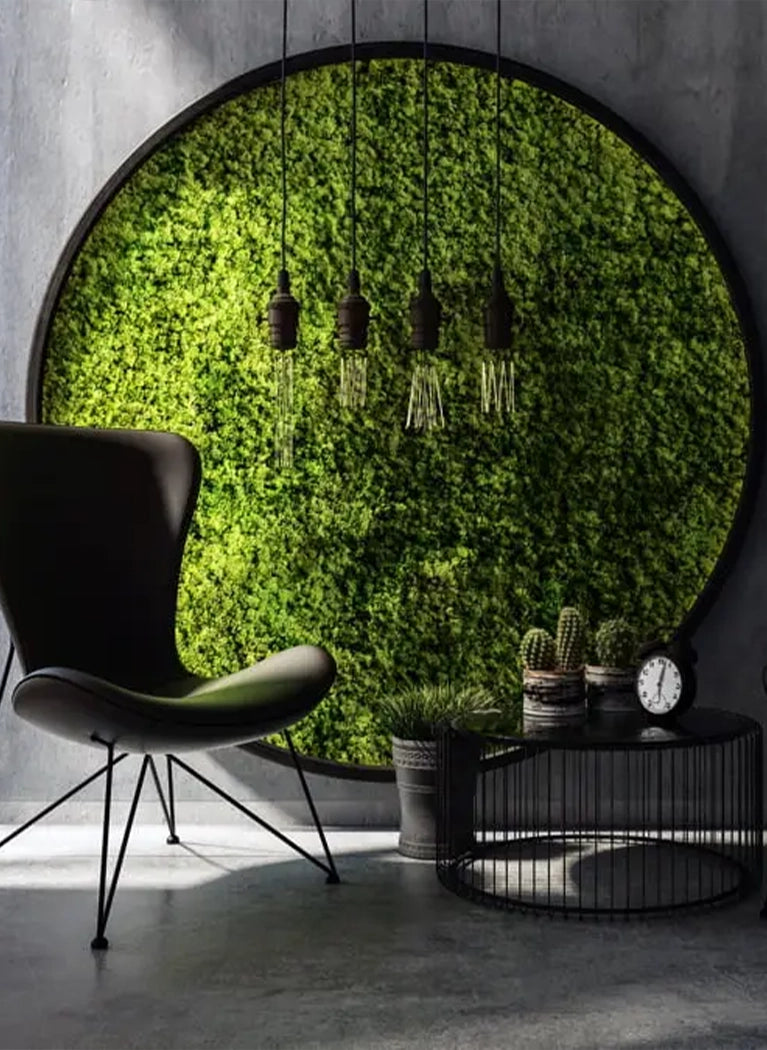 Preserved oss Decor Moss Panels in grey room interior Decormania UK